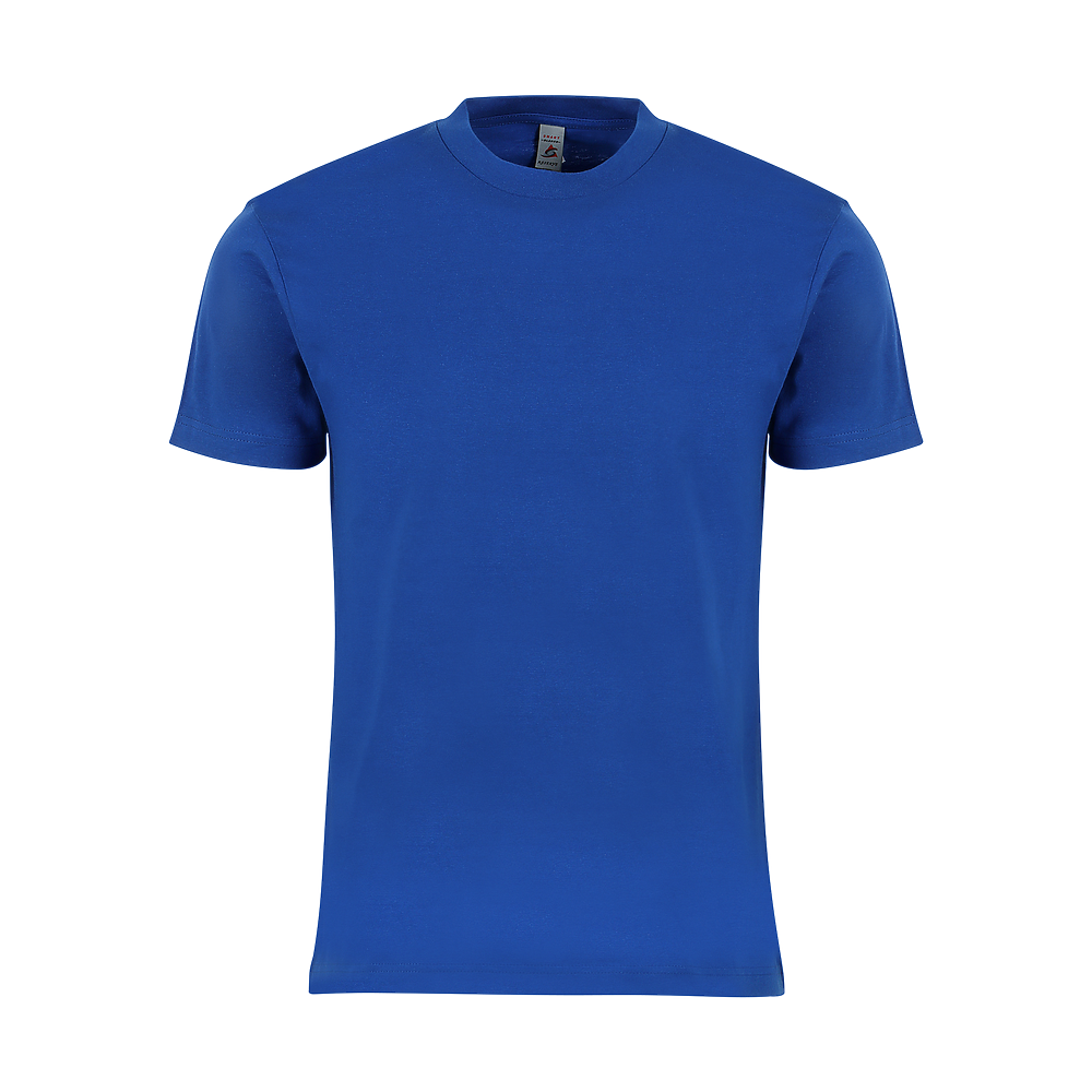 15-Pack 6 oz Unisex Adult Premium Heavy Weight SS Tee True to Size Wholesale Pricing